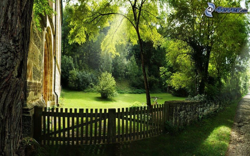 drevená brána, kostol, park, plot, stromy