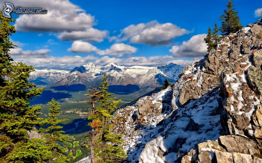 Banff National Park, skalnaté hory, ihličnaté stromy, sneh
