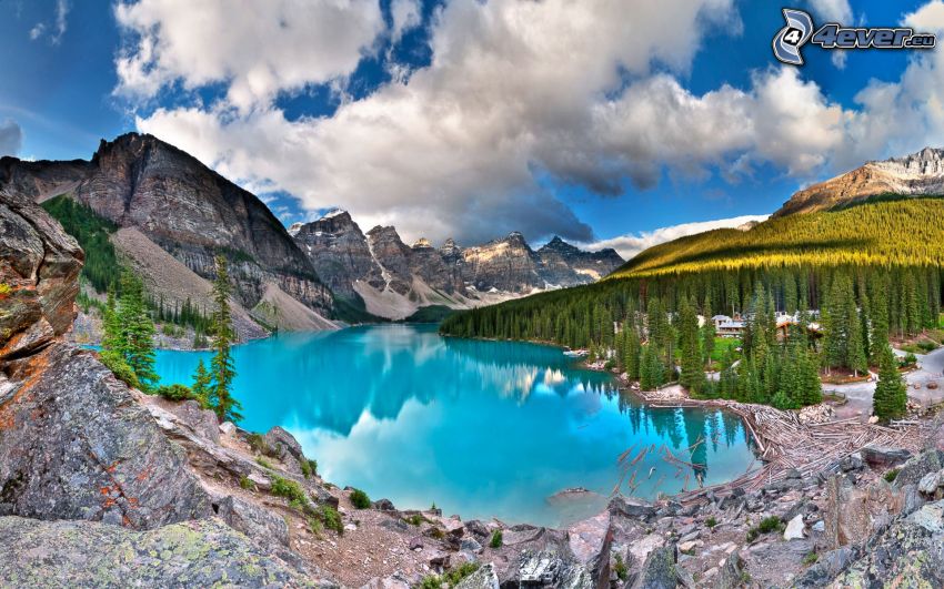 Moraine Lake, pleso, azúrové jazero, skalnaté hory, les