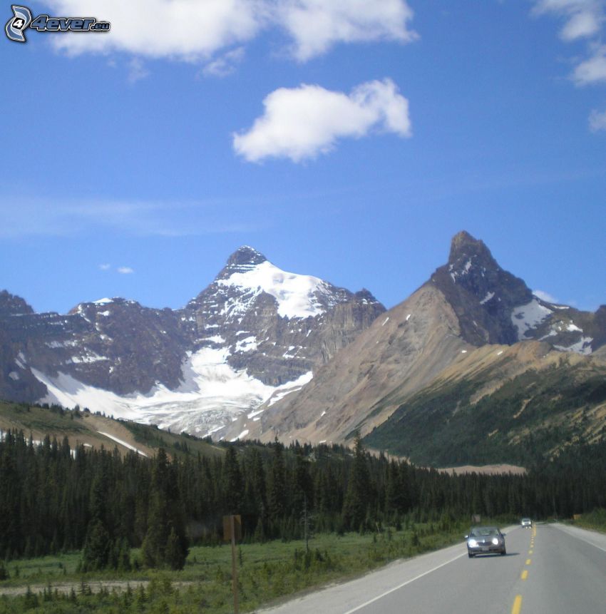 Mount Athabasca, skalnaté hory, ihličnatý les, cesta