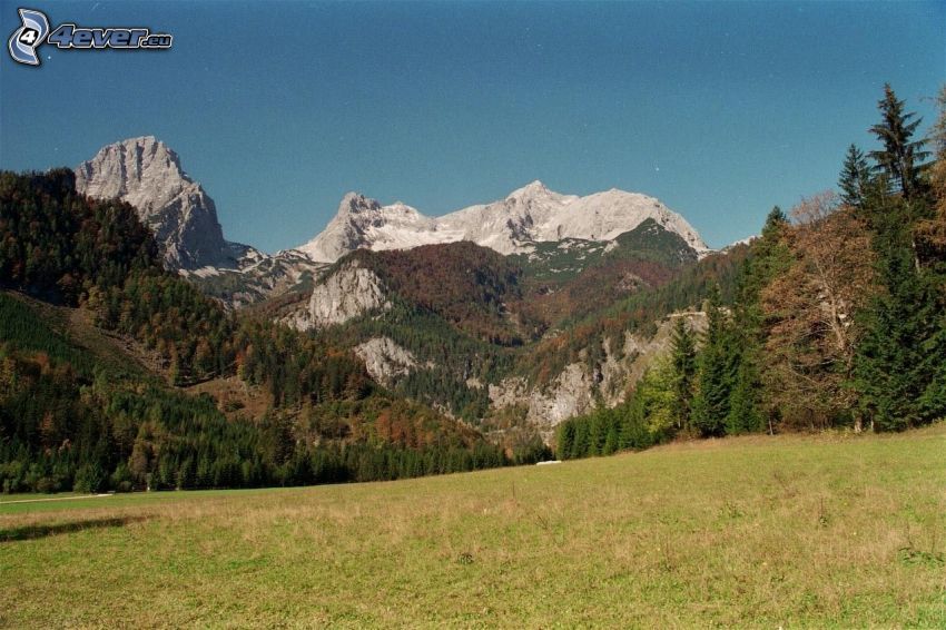 Totes Gebirge, lúka, ihličnatý les, skalnaté hory