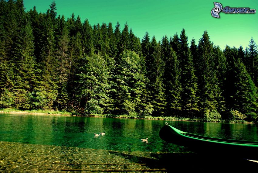 ihličnatý les, rieka, loďka pri brehu