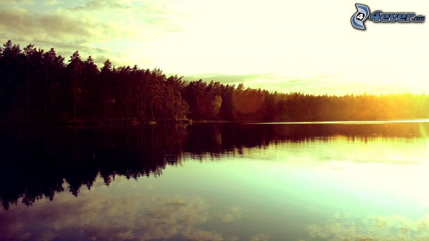 jazero, les, východ slnka
