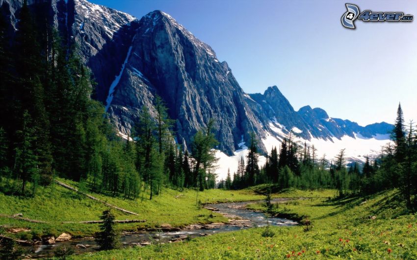 Banff National Park, skalnatá hora, potôčik, les, tráva