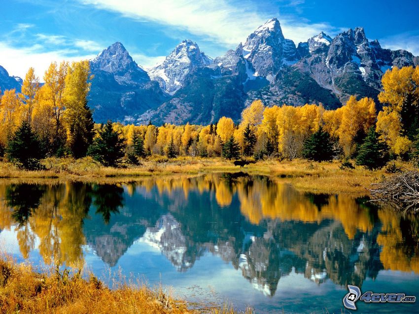 Grand Teton national park, Wyoming, jazero v lese, žlté stromy, veľhory