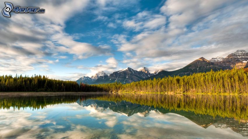 Herbert Lake, Banff National Park, jazero v lese, hory, odraz, pokojná vodná hladina
