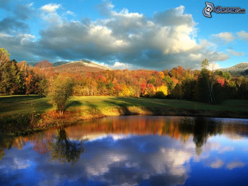 jazero, jesenná krajina, farebný jesenný les