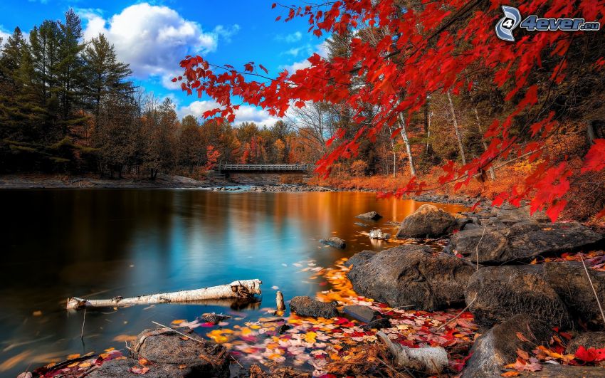 jesenná krajina, farebné lístie, pokojná vodná hladina, most