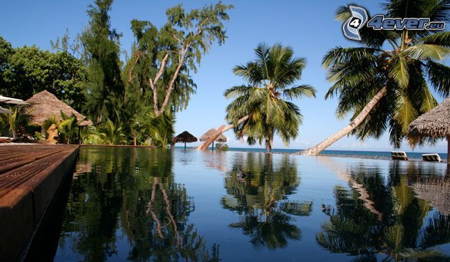 Madagaskar, palmy, bazén