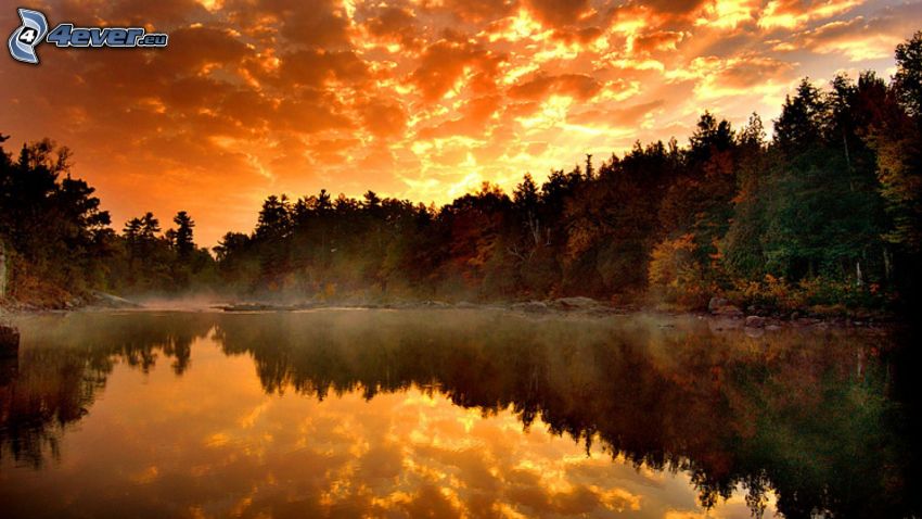 oranžový západ slnka, jazero v lese, pokojná vodná hladina, odraz, ihličnatý les
