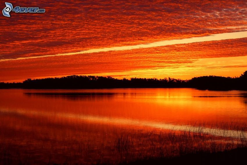 oranžový západ slnka, západ slnka nad jazerom