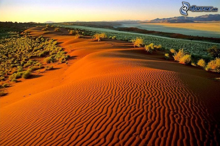 piesočné duny, púšť, step