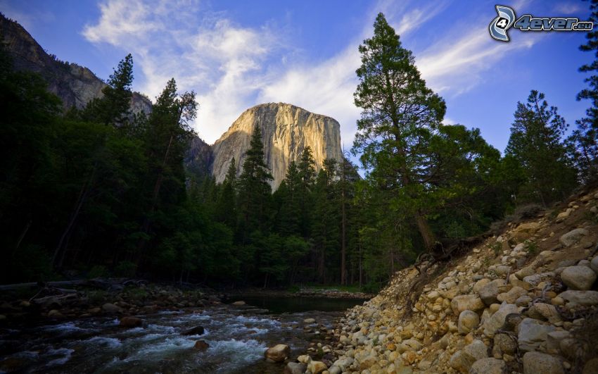 rieka v Yosemitskom národnom parku, El Capitan, potok, ihličnaté stromy, skalnaté hory, kamene