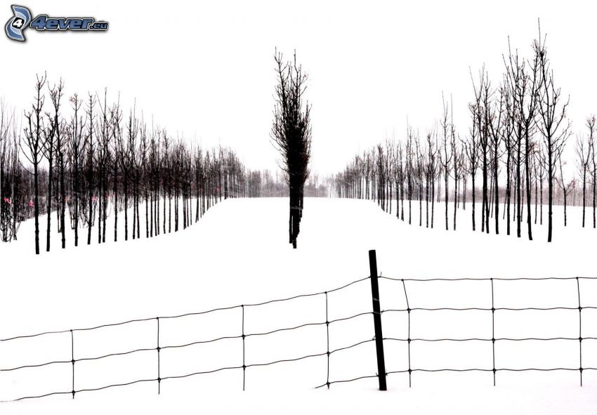 sad, sneh, drôtený plot