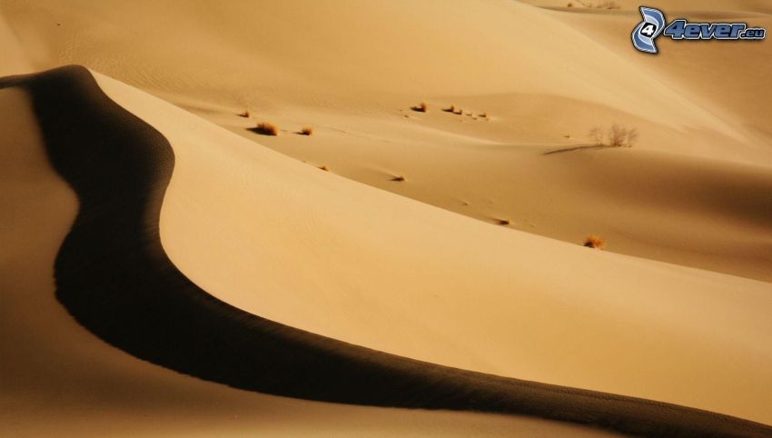 Sahara, púšť, piesočná duna