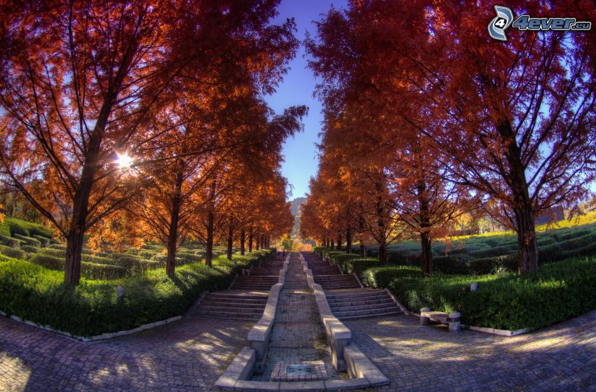 schody, farebné jesenné stromy, slnko, Japonsko
