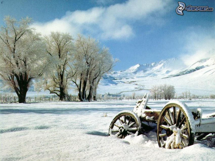 starý drevený voz, sneh, zamrznuté stromy, zima