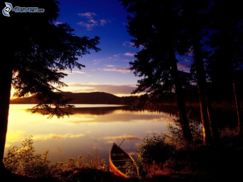 večerné pokojné jazero, čln, siluety stromov