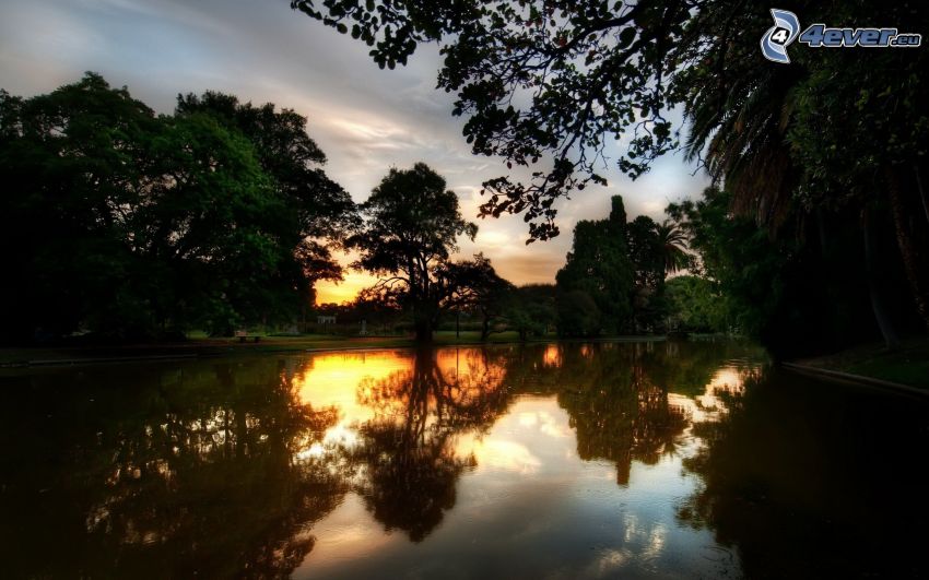 večerné pokojné jazero, park pri západe slnka, stromy, odraz