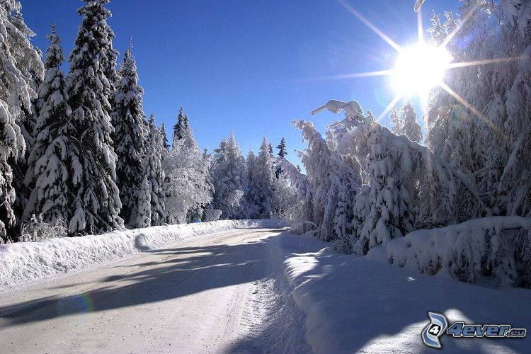 Vysoké Tatry, zasnežená cesta, zasnežené stromy, slnko, slnečné lúče