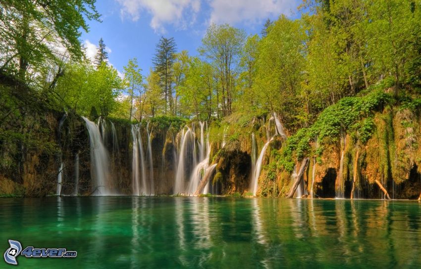 lesný vodopád, jazero v lese, zelená voda