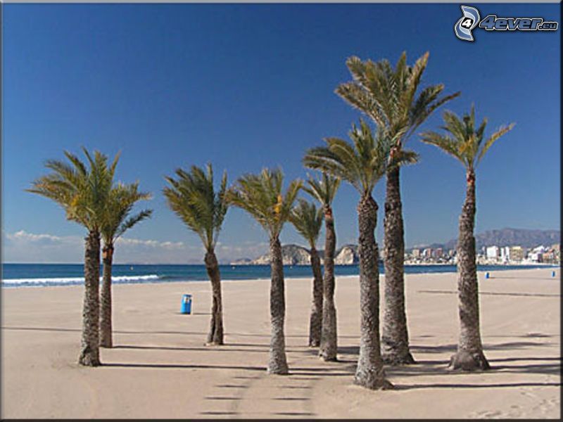 Benidorm, Španielsko, palmy na pláži, more