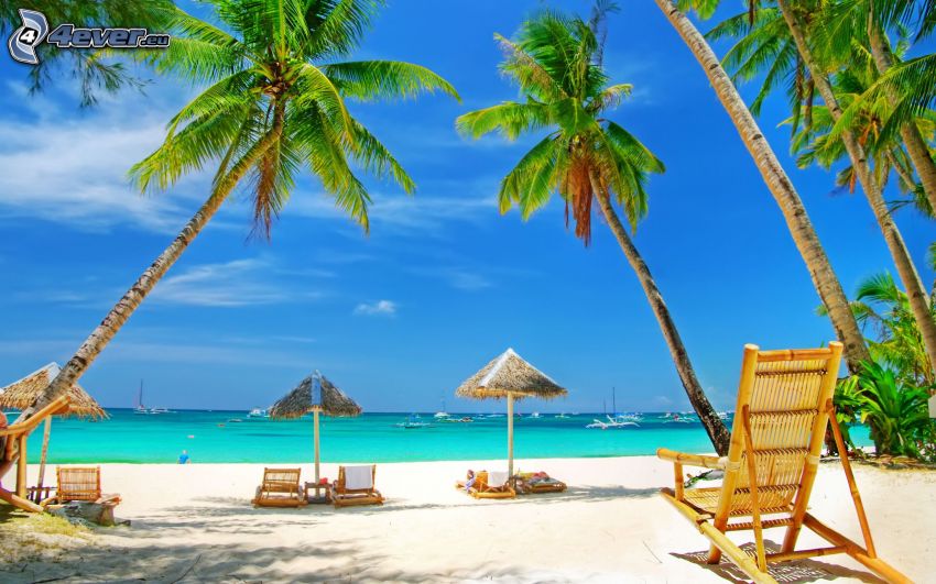 lehátka na pláži, palmy, letné azúrové more