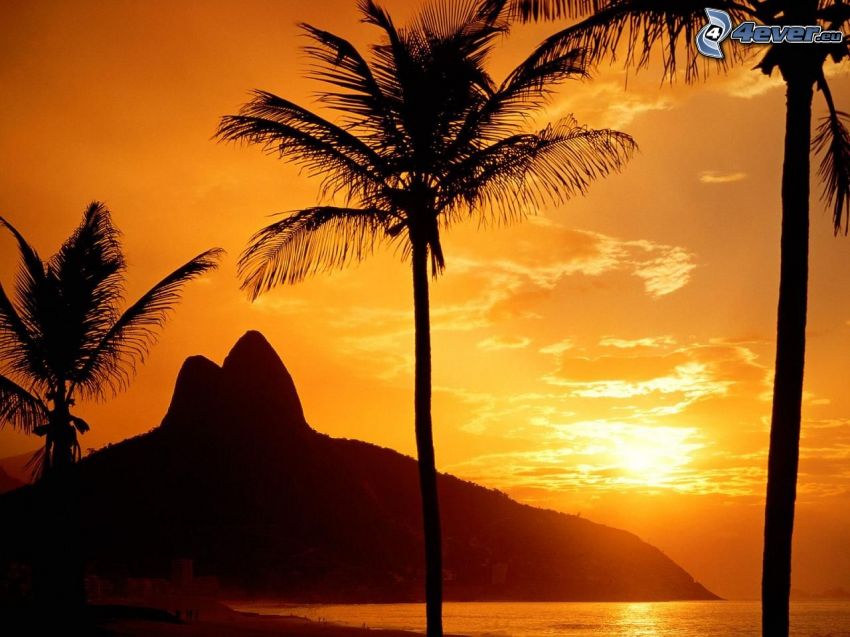 oranžový západ slnka nad morom, palmy na pláži, kopce