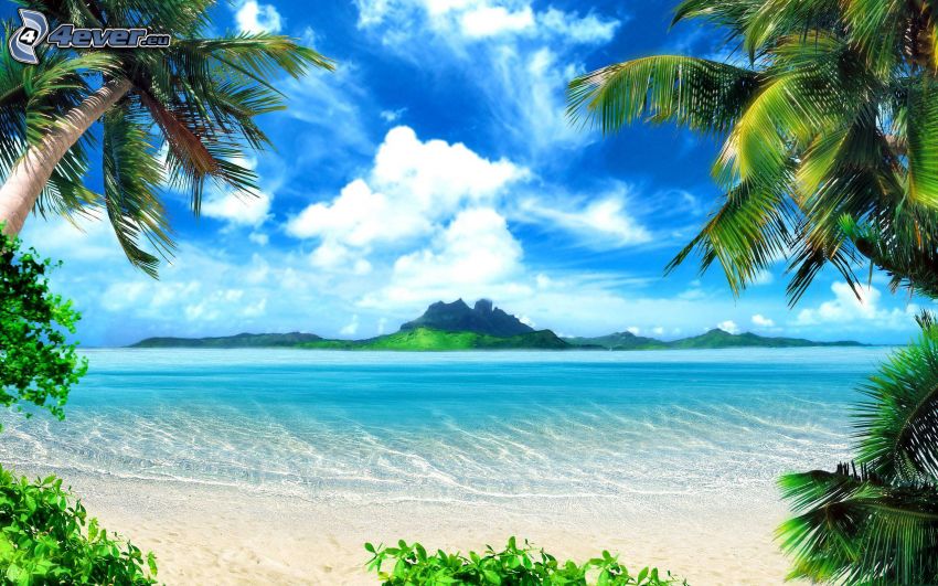 ostrov, more, piesočná pláž, palmy, oblaky