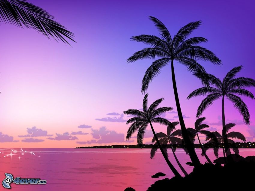 palmy na pláži, fialová obloha