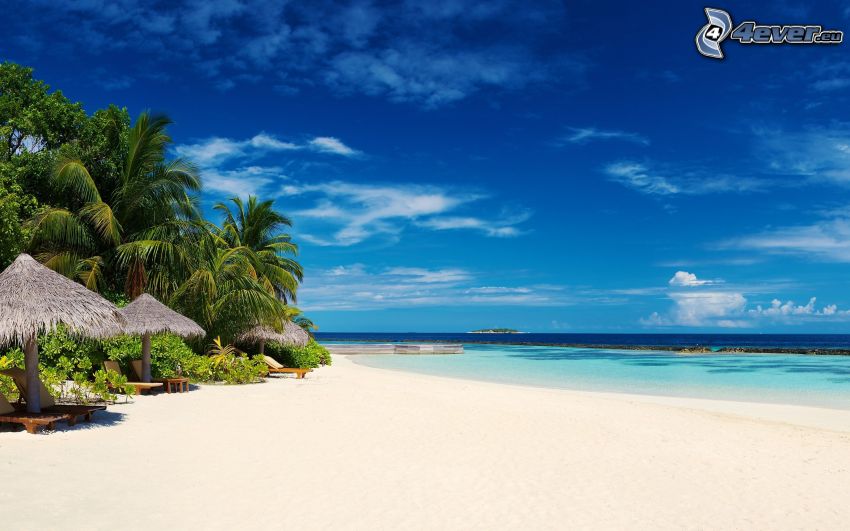palmy na pláži, letné azúrové more, slnečníky na pláži