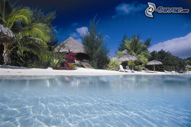 prímorské chatky na Bora Bora, azúrové more, palmy na pláži