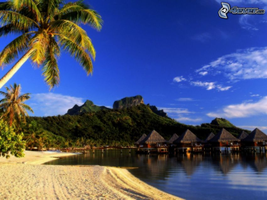 prímorské chatky na Bora Bora, pláž, palmy, obloha