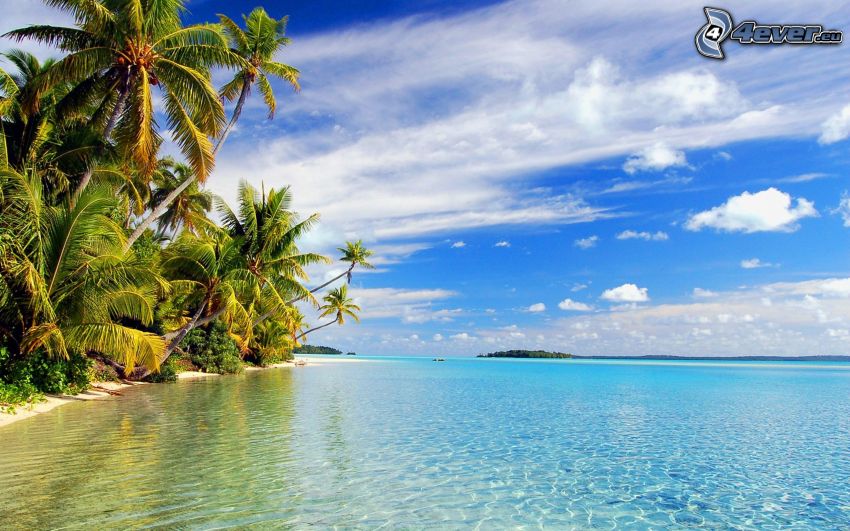 tropický ostrov, plytké azúrové more, palmy, oblaky