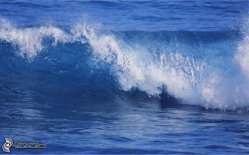 vlna, modrá voda, more