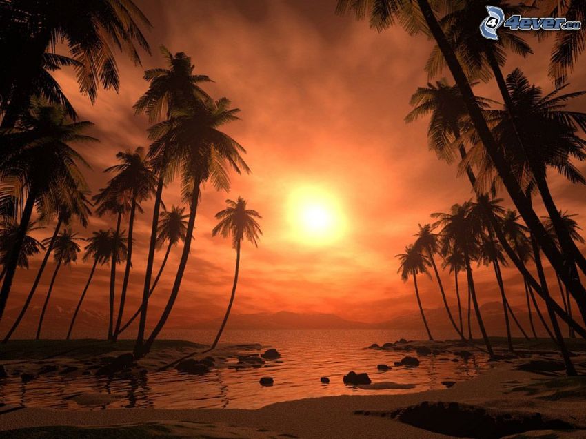 západ slnka nad jazerom, palmy na pláži, veľké jazero, digitálna vodná krajina
