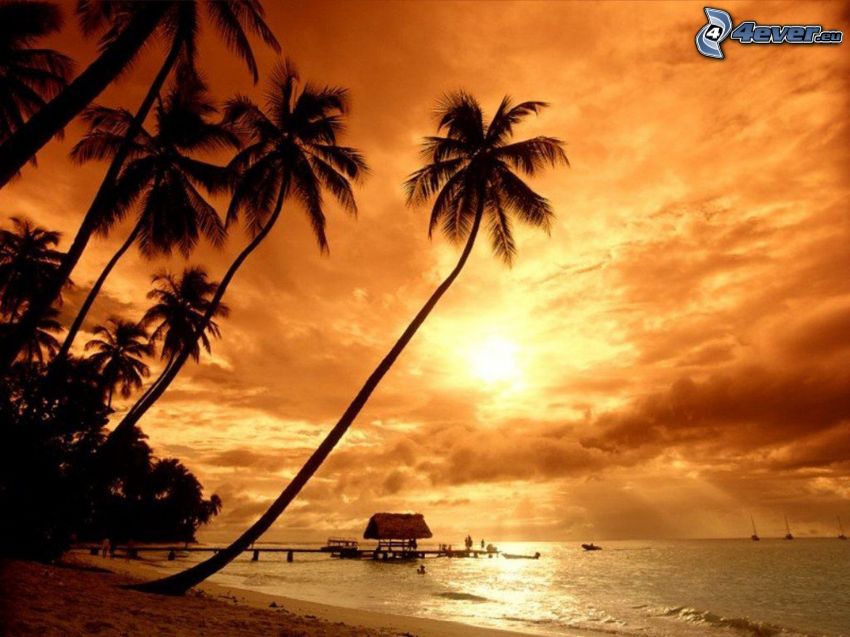 západ slnka nad ostrovom, palma nad morom, more, palmy, plážový domček