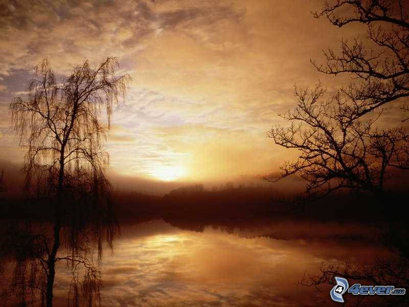 západ slnka nad jazerom, močiar, siluety stromov, hmla nad jazerom