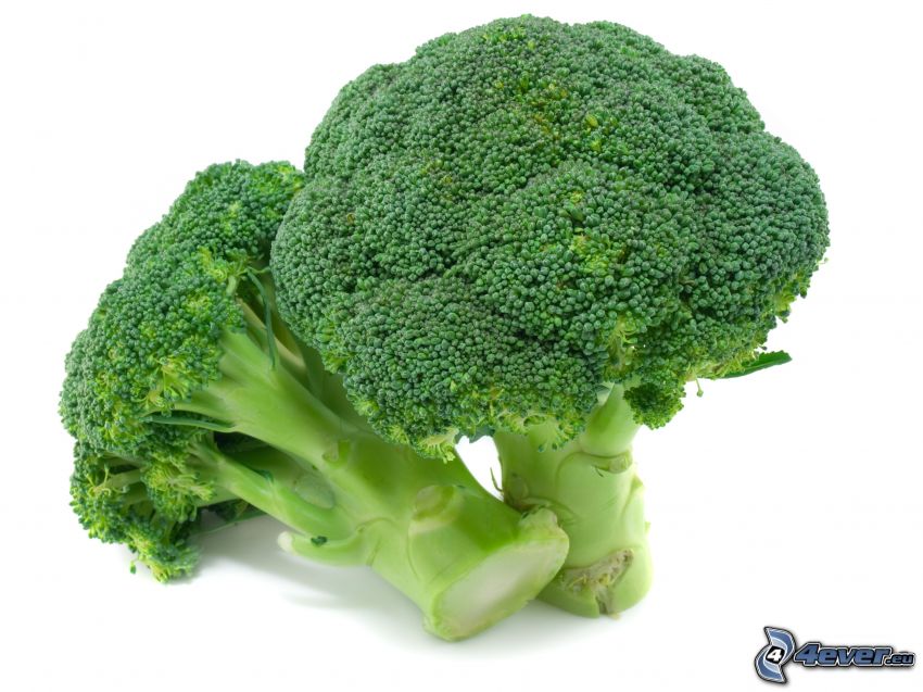 brokolica