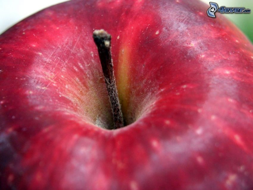 červené jablko, makro