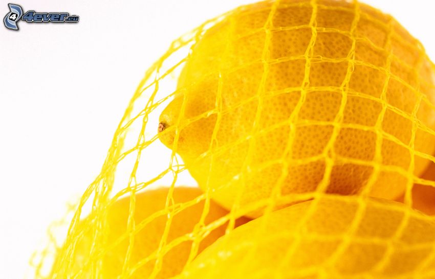 citróny, sieť