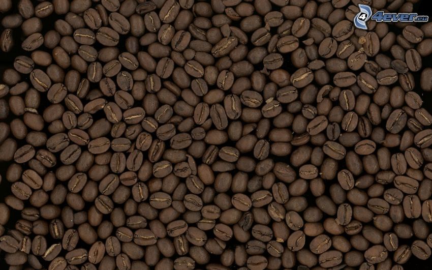 kávové zrná