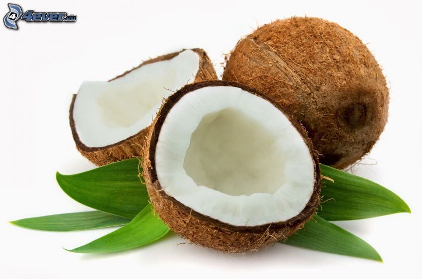 kokosový orech, listy
