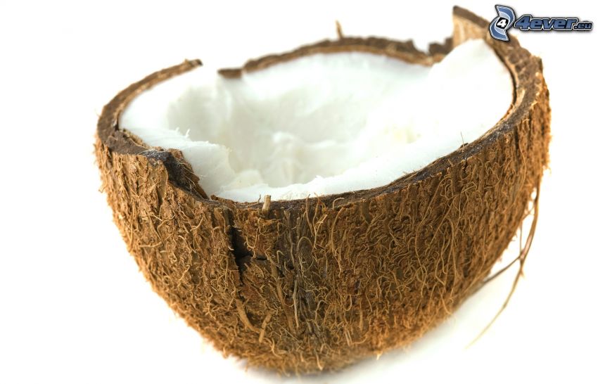 kokosový orech