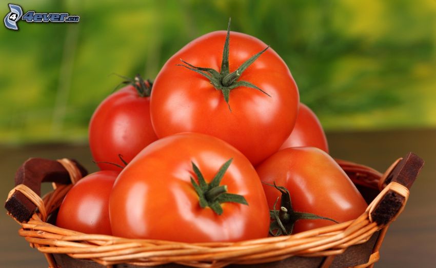paradajky, košík