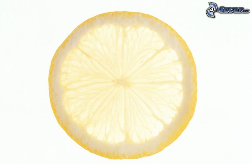 plátok citrónu