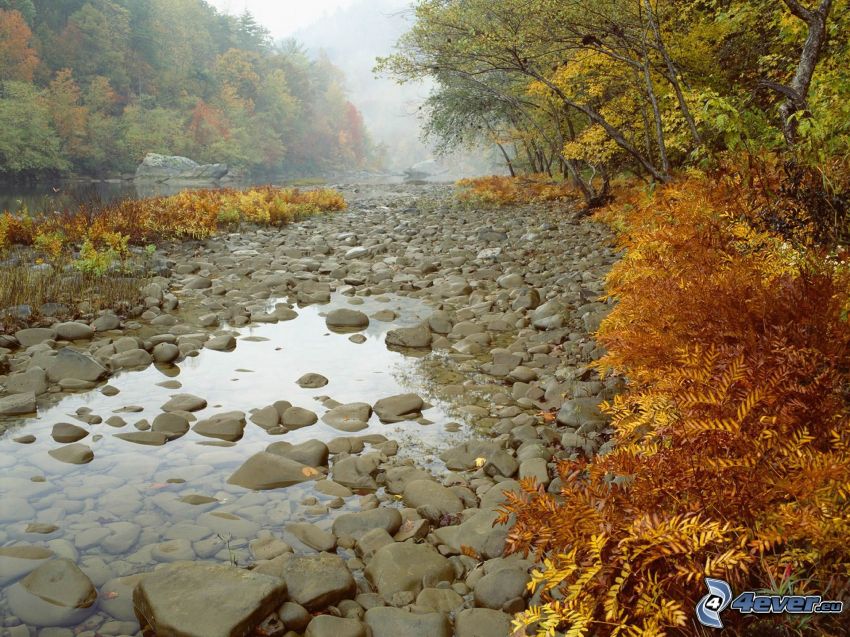 riečne kamene, voda, rieka, farebné jesenné stromy