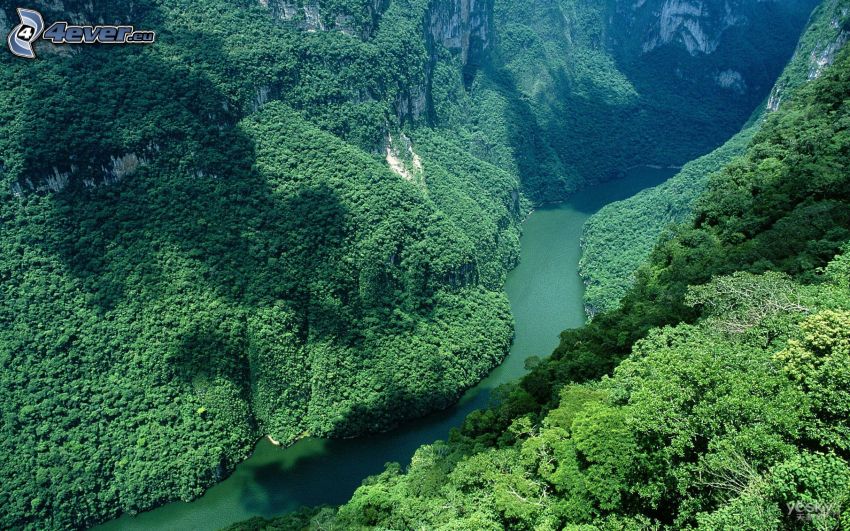 rieka, kopce, džungľa
