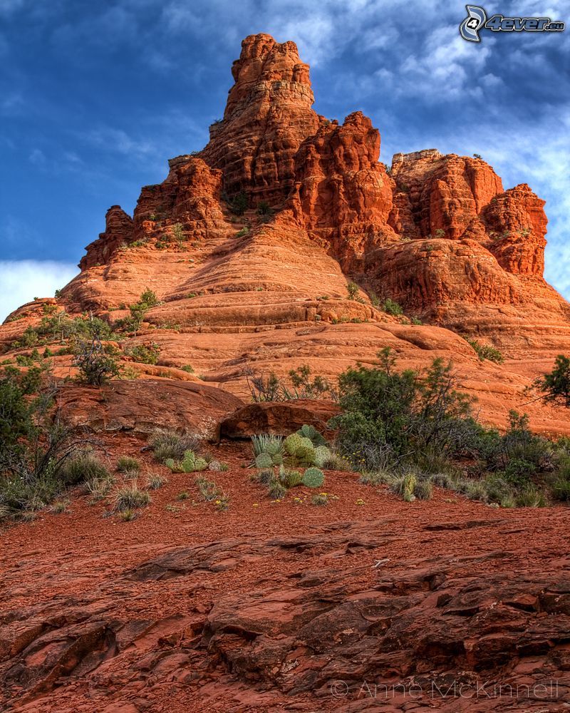 Sedona - Arizona, skaly, kaktusy