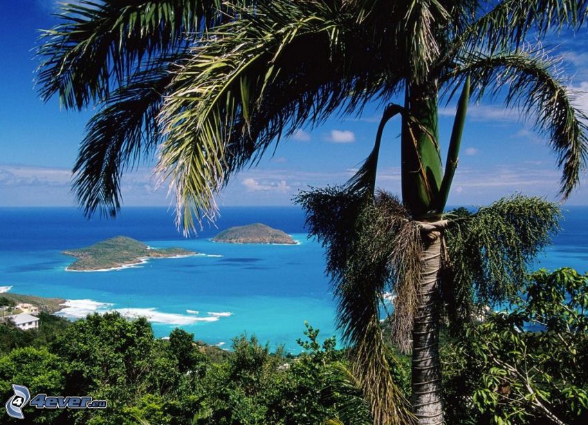 Svätý Tomáš a Princov ostrov, palma, ostrovy, more